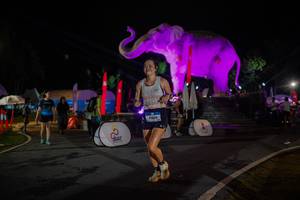 BIB: 
                            <button type="button" onclick="openModal(26552024)" class="btn btn-primary btn-sm float-right btn-popup" data-toggle="modal" data-target=".modal-high-quality">
                        <i class="fas fa-shopping-cart"></i> Add to Cart
                    </button>
                                            <button type="button" onclick="isThisMe(26552024, true)" class="btn btn-success btn-sm float-right btn-popup btn-isme hidden" data-toggle="tooltip" data-placement="bottom" title="นี่คือรูปของคุณใช่ไหม คลิกที่นี่เพื่อเอาเข้าอัลบั้ม">
                        <i class="fas fa-plus"></i> Add to album
                    </button>
                    <button type="button" onclick="isThisMe(26552024, false)" class="btn btn-warning btn-sm float-right btn-popup btn-isnotme hidden">
                        <i class="fas fa-ban"></i> Remove from album
                    </button>